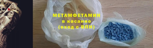 прущие грибы Осинники