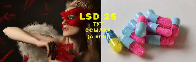 LSD-25 экстази кислота  darknet Telegram  Тайга 