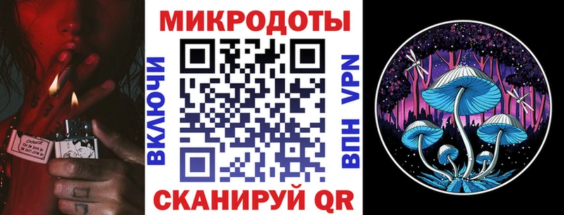 где купить наркоту  Тайга  Псилоцибиновые грибы Psilocybe 